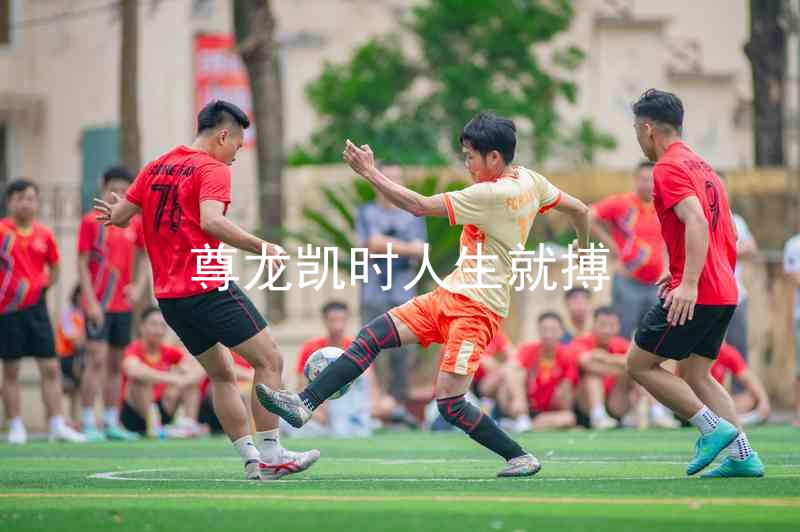 尊龙凯时人生就搏