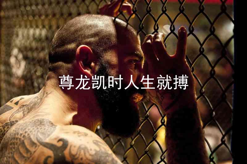 尊龙凯时人生就搏