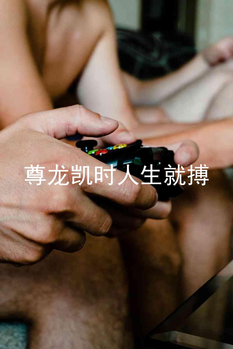 尊龙凯时人生就搏
