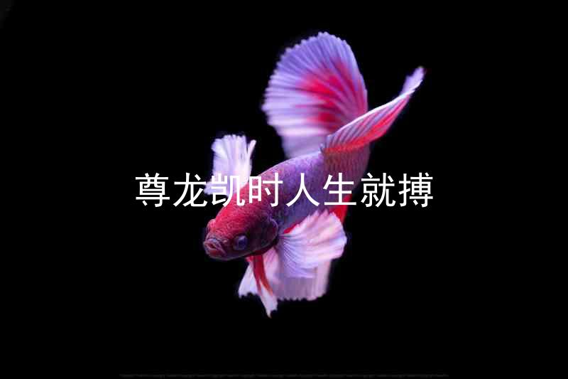 尊龙凯时人生就搏